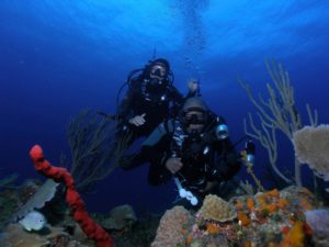 Ford Scuba Diving Services provides scuba diving training from open water through instructor trainer certification